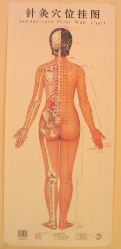 3 Female Acupuncture Meridian Points Wall Charts