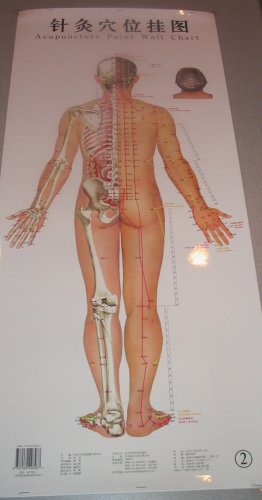 3 Male Acupuncture Meridian Points Wall Charts