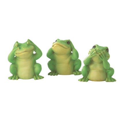 35011 Hear, See, Speak Frogs
