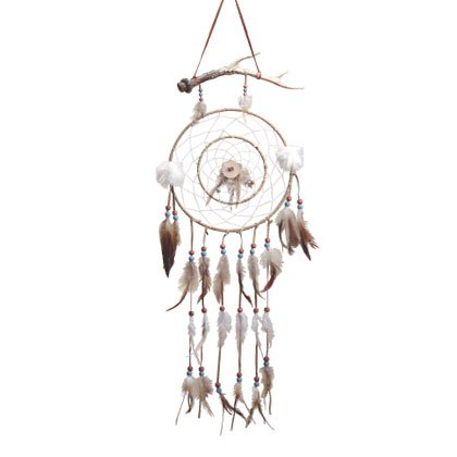 35153 Southwestern Windcatcher