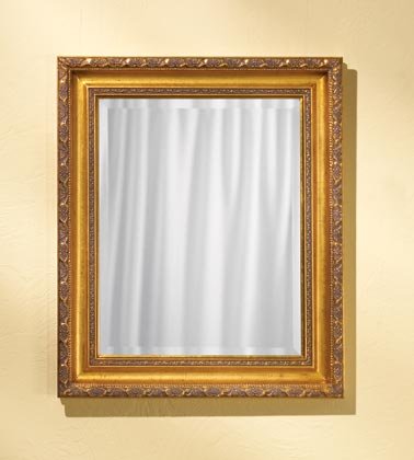 35596 Gold Color Architecture Mirror