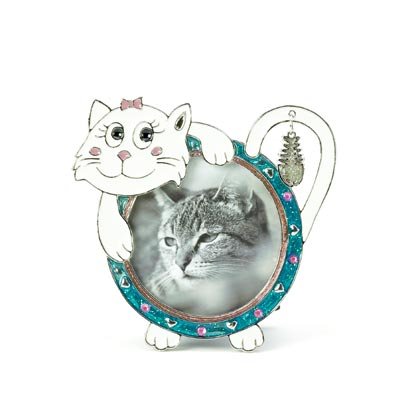 36876 Cat Pewter Photo Frame