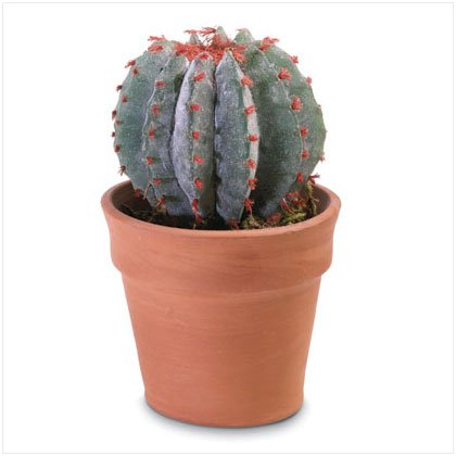 36678 Faux Cactus