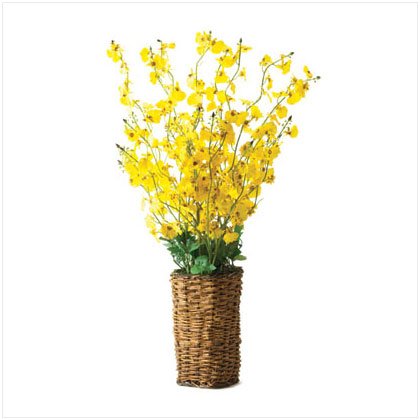 36235 Yellow Orchid Arrangement