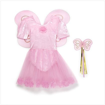 36620 Pink Fairy Dress With Wand Set