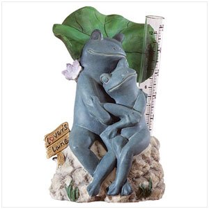 33911 Frog Rain Gauge