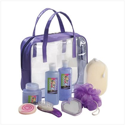 36387 Wild Berry Set In Purple Tote