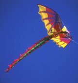 Red Dragon Kite 75" Wing Span, 6.5' Long Tail!