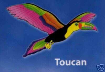 Toucan Kite - Multi-Colored Single String Kite
