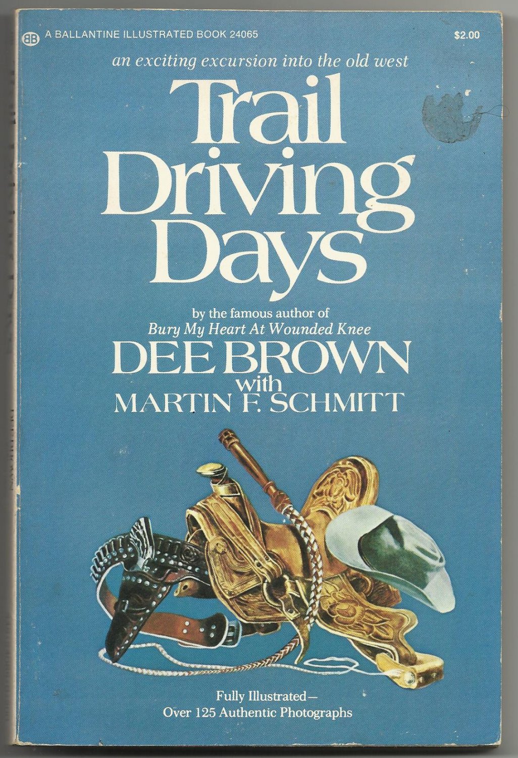 Trail Driving Days by Dee Brown with Martin F. Schmitt