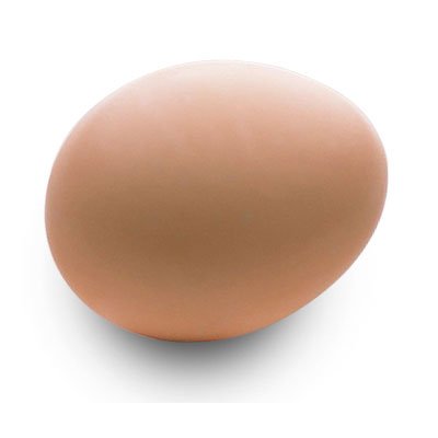 EGG toy battery optical ctrl kid pretend/crazy gag gift