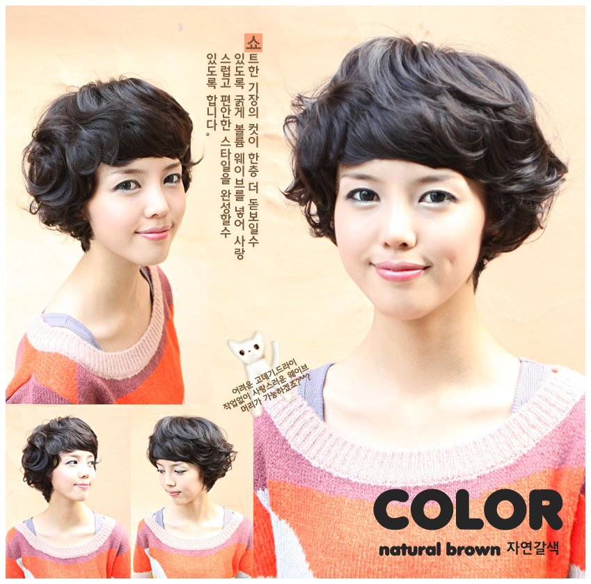 Woman Short Wave Dark Brown Fashion Wigs With Wig Cap WD19