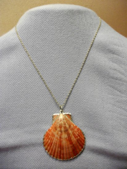 Shell Necklace Style 3