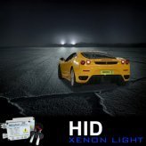 Drivers Edge - HID Xenon Headlamp Kit (H1) New
