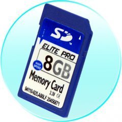 8GB SD Memory Card (Single) New