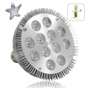 12W LED Spotlight Bulb New