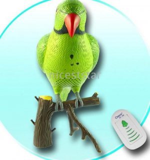 Recordable Parrot Wireless Doorbell New