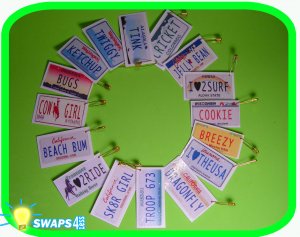Custom Mini License Plates Scout Girl Kit- Swaps4Less