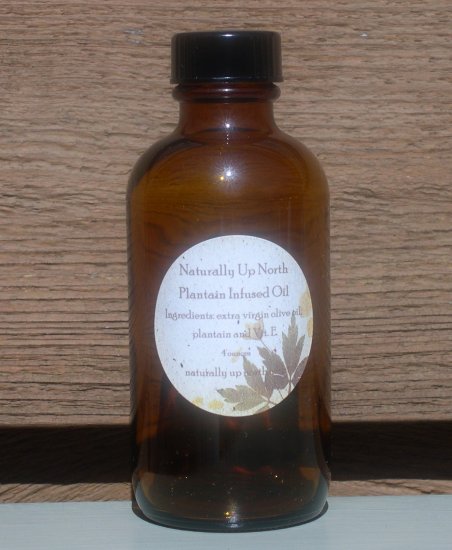 Plantain Herbal Infused Oil 4 ounces