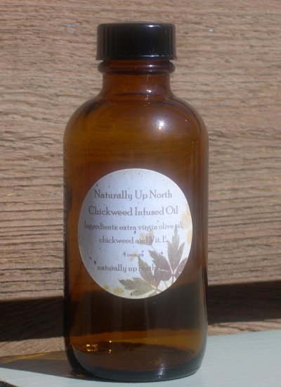 Chickweed Herbal Infused Oil 4 ounces