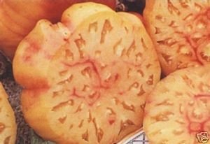 Heirloom Organic Tomato Seeds-Mr. Stripey