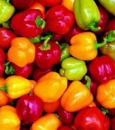 Sweet Pepper-Grand Bell Mix Seeds *Colors Galore! Includes CHOCOLATE! **SOLD OUT**