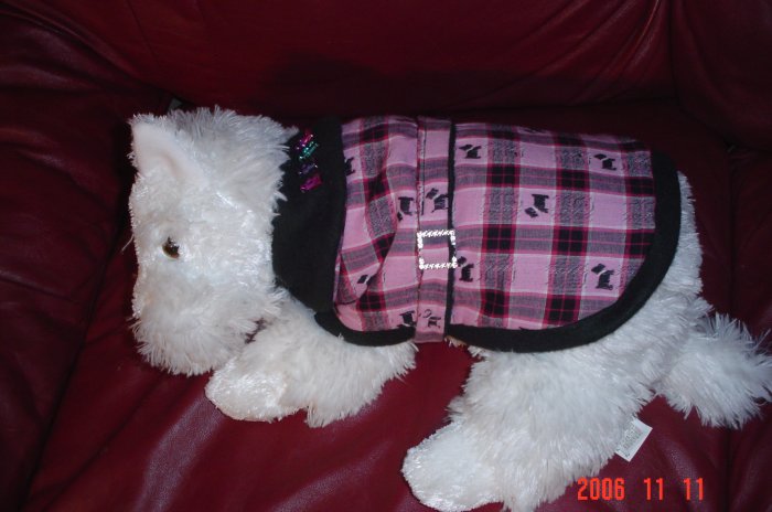 Pretty in Plaid