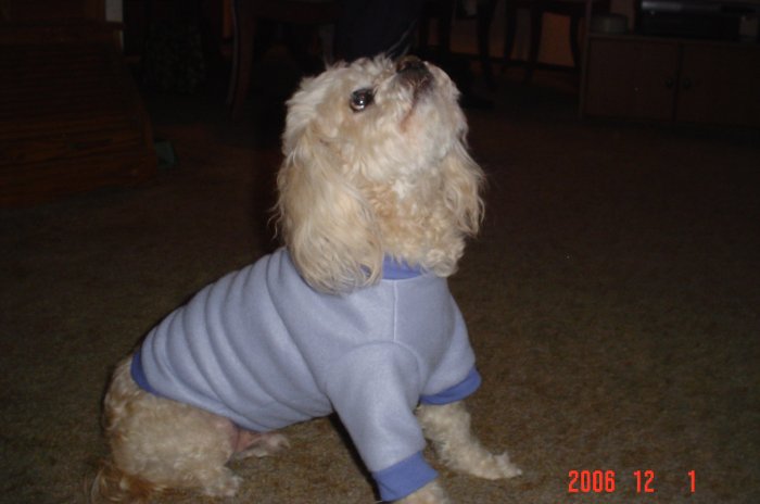 Periwinkle Fleece Pullover