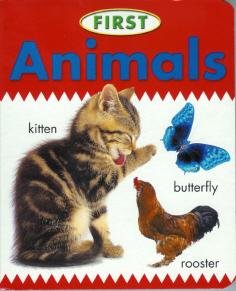 A First Block Book Series