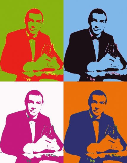 16x24 James Bond 007 Sean Connery poster
