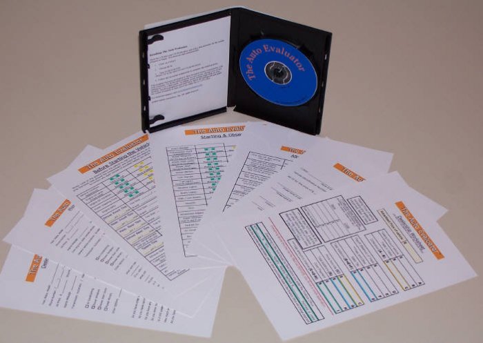 The Auto Evaluator
