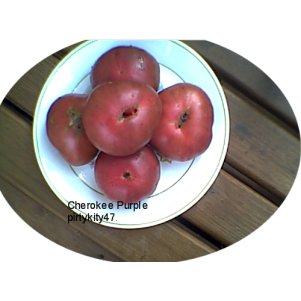 CHEROKEE PURPLE HEIRLOOM TOMATO ( 20) SEEDS