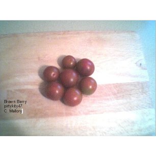 BROWN BERRY CHERRY TOMATO SEEDS ** VEGETABLE**(20) SEED