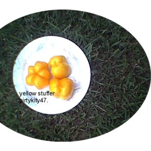 YELLOW STUFFER HEIRLOOM TOMATO ( 20) SEEDS VEGETABLE