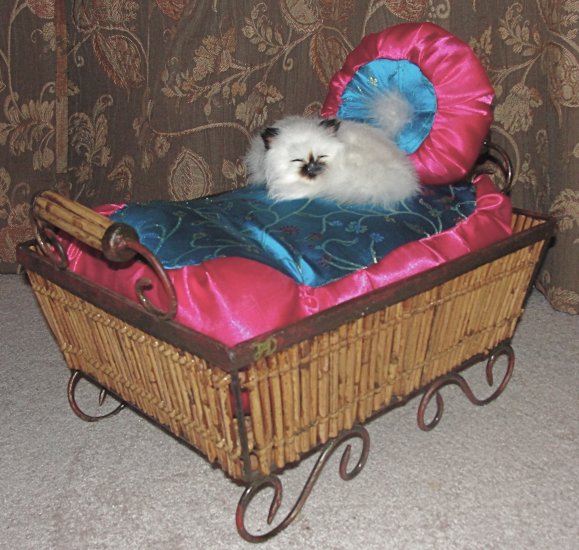The Song Bird, ***FREE SHIPPING!*** Pet Bed, Dog / Cat Bed