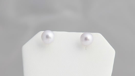 White Pearl Earrings
