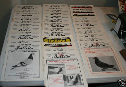 76 78 79 80 Racing Pigeon Bulletin Magazines 37 Issues