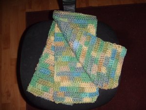Multicolor Crochet Scarf