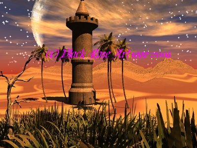 Desert Mirage 4x6
