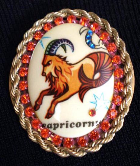 #P010 - Capricorn Zodiac Pin
