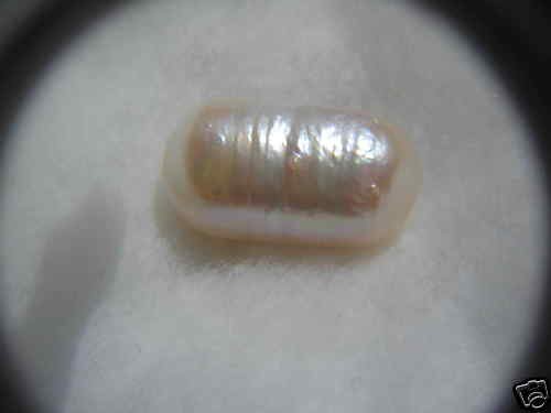 ABALONE, HUGE SIZE PEARL 18CTW,MUSUEMSIZEONEBAY,RAREST