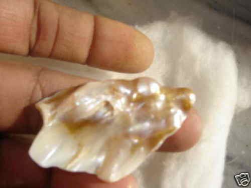 ABALONE, HUGE SIZE PEARL 55CTW,MUSUEMSIZEONEBAY,RAREST