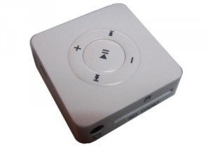 Flash Memory Card Reader/MP3 Player