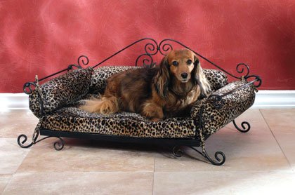 Leopard Print Metal Pet Bed