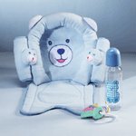 Blue Bear Car Kit andCar seat cover