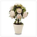 ROSE TOPIARY