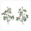 VICTORIAN ROSE WALL SCONCES