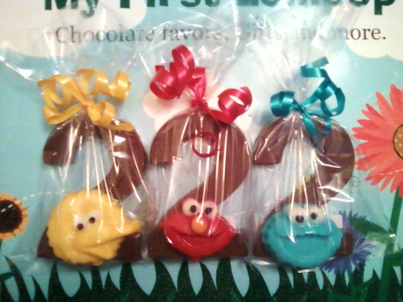 Sesame Street 2nd birthday party favors (1 dozen)