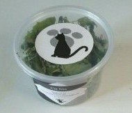 Catnip
