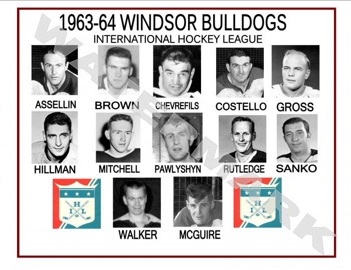 1963-64 WINDSOR BULLDOGS IHL HEADSHOTS TEAM PHOTO